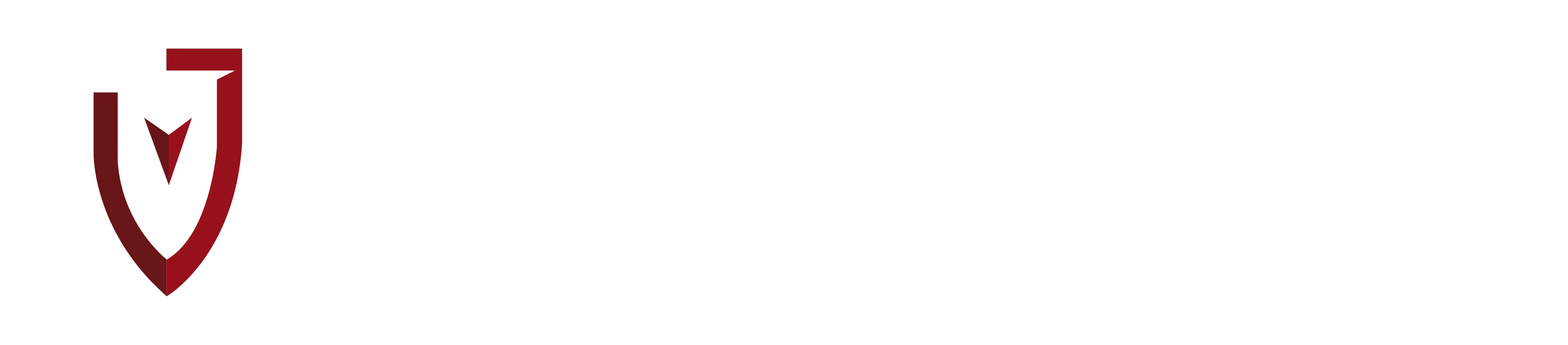 Los Victorinos