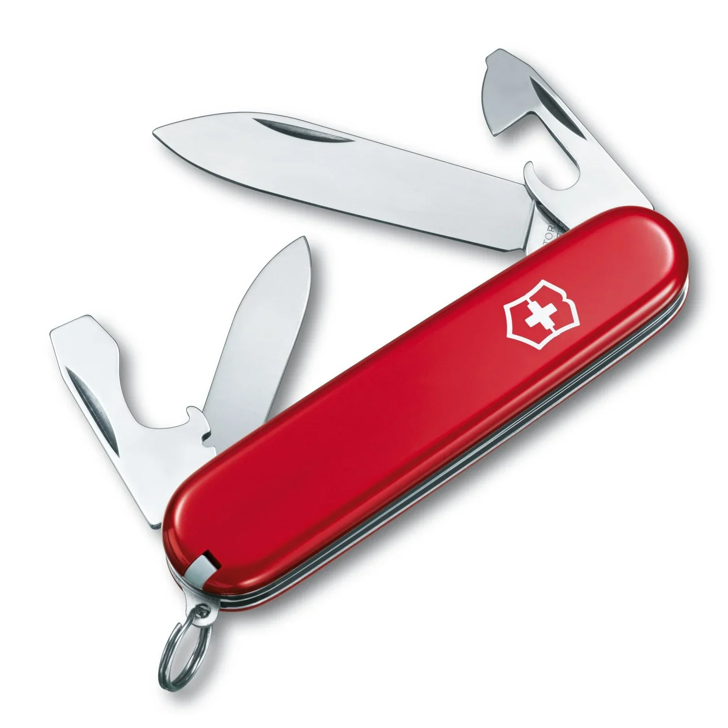 Miniatura 1